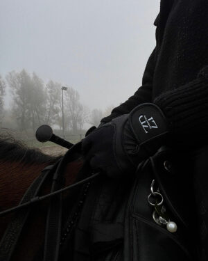 Unbenannt 4 ZP Gloves Black Glitter