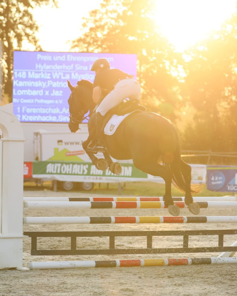 Gloves Equestrian ZP Gloves " All Season " EQUESTRIAN