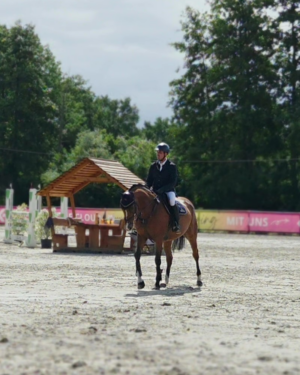 ZP Gloves All Season