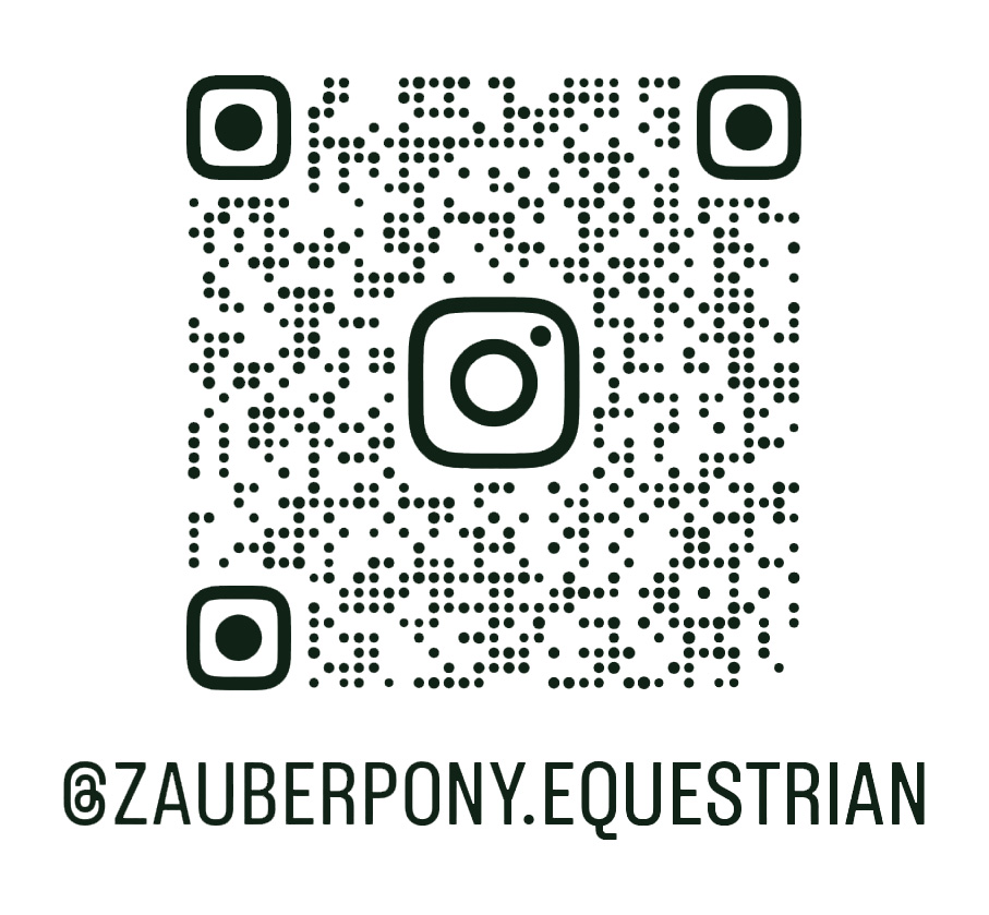 follow us on Instagram