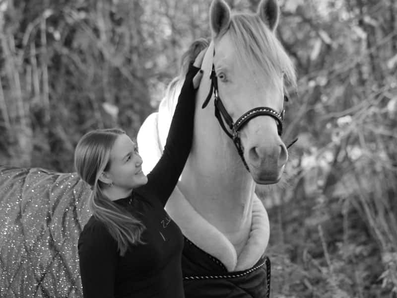 ZauberPony Equestrian ZauberPony Equestrian