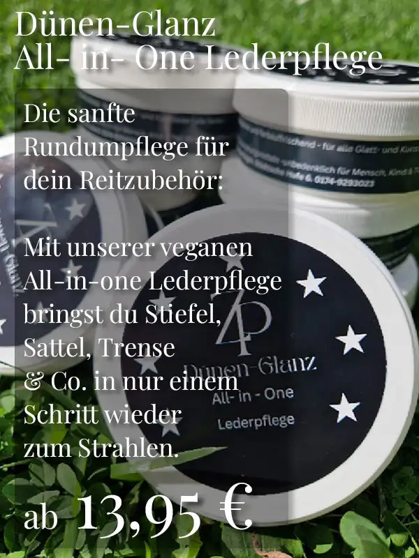 ZauberPony Equestrian ZauberPony Equestrian