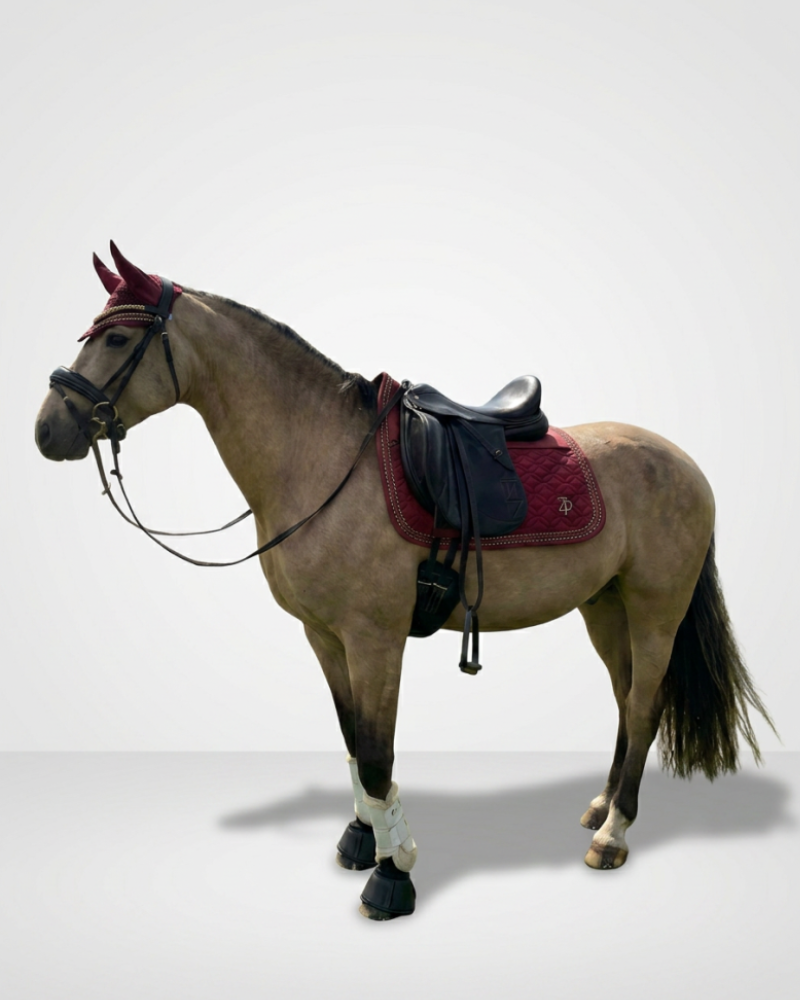 ZP Saddlepad Deluxe